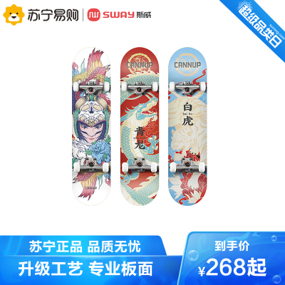 花木兰IP联名款-四轮滑板初学者专业成年男女生青少年夜光双翘