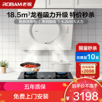 老板(Robam)油烟机烟灶套餐侧吸抽油烟机吸油烟机燃气灶烟灶套装 厨电套装 21A6H+30G2(天然气)