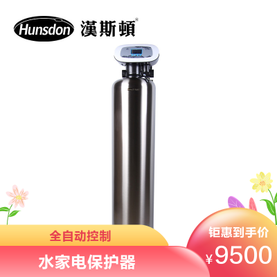汉斯顿中央净水器家用直饮净水器家用过滤机器HSD-2000CT