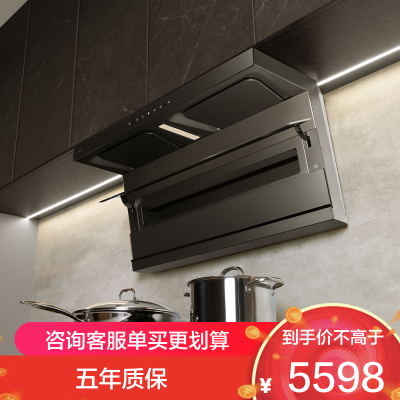 老板(Robam)烟灶套装[小黑翼D1P]26m³超薄顶侧双吸 定时灶 烟灶套餐27A15-D1P+57B8A(天然气)