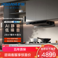 老板(Robam)[双子星E2P]欧式顶吸烟灶联动双腔变频大吸力家用厨房油烟机28风量 烟灶套餐E2P+D2 天然气