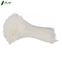 尼龙扎带 5*650/包