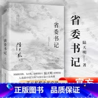 [正版]省委书记(国家图书奖、飞天奖、金鹰奖得主陆天明经典作品,电视剧《省委书记》原著小说)书籍