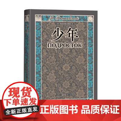 少年 陀思妥耶夫斯基 著 外国文学