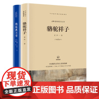 骆驼祥子+海底两万里 小学生儿童文学三四五六年级8-9-10-12岁课外阅读书籍青少年世界名著童话故事书