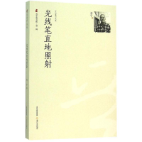 正版新书]光线笔直地照射刘宁9787537845885