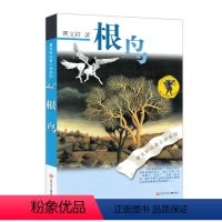 [正版]根鸟 书 曹文轩六年级课外书 纯美小说系列 9-10-11-12岁儿童少儿图书小学生四五年级课外阅读文学书 曹