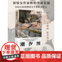 潮汐图 林棹豆瓣年度作者 2022年宝珀文学奖获奖作品 当代文学精装正版书上海文艺出版社长篇小说 另著流溪