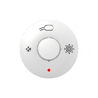 PGST 烟雾报警器 PG-S01 个