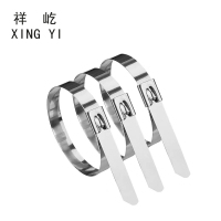 祥屹+不锈钢扎带(201)+规格可选+根