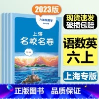 6年级上[套装3本]语数英 大字版 初中通用 [正版]2024春季上海名校名卷六年级七八九上册下册数学语文英语物理化学沪