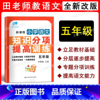 语文 小学五年级 [正版]新课程小学语文知识分项提高训练 五年级/5年级第一二学期上下册 小学生语文课外知识辅导 田荣俊