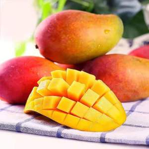 [熊猫鸟]新鲜海南贵妃芒果 净重8.5斤 单果150g+ 热带水果 新鲜水果 香甜可口