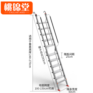 桃锦堂伸缩梯