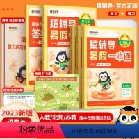 幼儿园升小学[语数英]通用版 小学通用 [正版]2023新猿辅导暑假一本通小学一升二升三升四升五升六年级上册下册语文数学