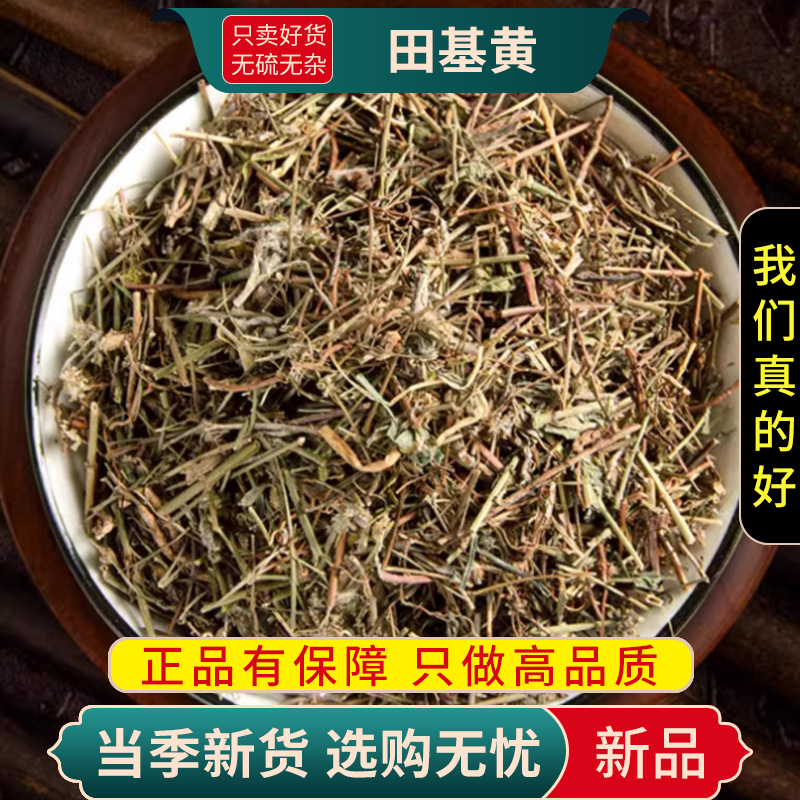 甄选田基黄100克干货正品新货干地耳草黄花草雀舌草正品整株田基王干品9260