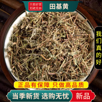 甄选田基黄100克干货正品新货干地耳草黄花草雀舌草正品整株田基王干品9260