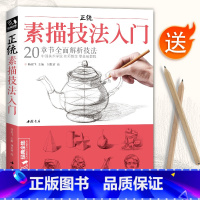[正版]正统素描技法入门 零基础自学教程书籍铅笔绘画画册临摹范本单体sh