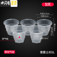 三维工匠蝴蝶兰控根花盆透气明塑料胶树脂陶瓷洋兰石斛专用盆 [5只]口径12cm[带空气柱] 中等花盆容器