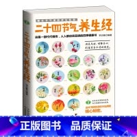 [正版] 二十四节气养生经 图文并茂养生保健书籍中医养生入门书籍通俗易懂顺应天时调整身心打造健康体魄