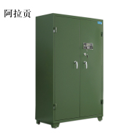 阿拉贡双门存放柜置物柜常规款