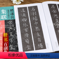 [正版]褚遂良雁塔圣教序 100副集联百副 楷书临摹教程 王丙申 中国历代碑帖集联系列 成人楷书毛笔字帖古帖 附简体旁