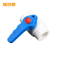 瑞吉君 PPR球阀 20mm 个