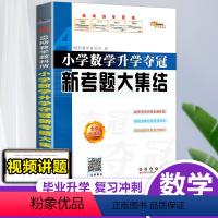 [视频讲题]数学 新考题大集结 小学升初中 [正版]2024小升初小学数学升学夺冠新考题大集结全国68所教师小升初毕业数