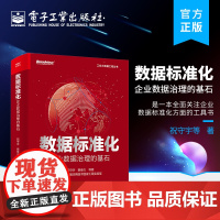 店 数据标准化 企业数据治理的基石 企业数据标准化方面工具书 认识数据标准化意义组织进行数据标准化的具体方案工具手册