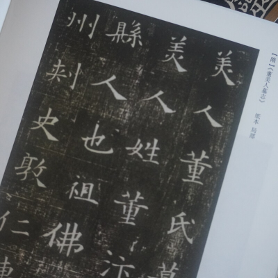 [M]黑老虎集 中国碑帖之美 胡竹峰 著 -9787521740721