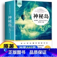 [官方正版 全译本439页]神秘岛 [正版] 神秘岛完整版无删减 全译本 儒勒凡尔纳原著科幻小说全集海洋三部曲 三四五六