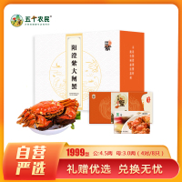 [礼券]阳澄紫牌 苏州精品大闸蟹礼券1999型 公蟹4.5两/只 母蟹3.0两/只 4对8只去绳净重 螃蟹礼盒 礼卡