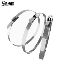 圣承启 扎带 19*300mm根