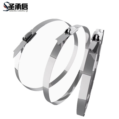 圣承启 扎带 19*300mm根