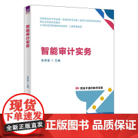 智能审计实务 张常俊等著 9787302688112 清华大学出版社 21世纪经济管理新形态教材工商管理系列