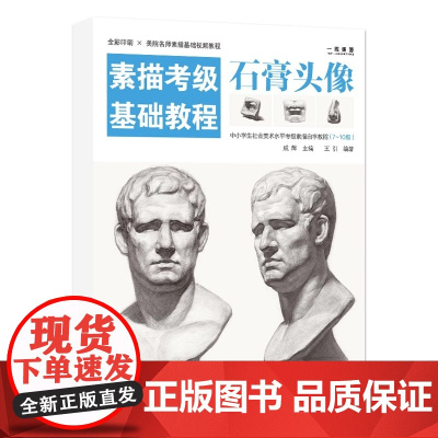素描考级基础教程石膏头像(7-10)中小学社会美术考级零基础入门王引人物素描石膏像五官步骤解析对照临摹画册全国高考艺考教