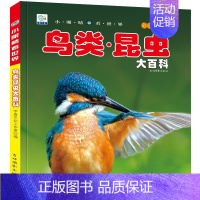 [彩图注音]鸟类昆虫大百科 [正版]全套22册 中国儿童趣味百科全书少儿大百科漫画版全套注音版科普类书籍小学科学军事恐龙