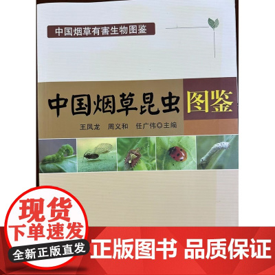 中国烟草昆虫图鉴(中国烟草有害生物图鉴) 235304 王凤龙 周义和 任广伟
