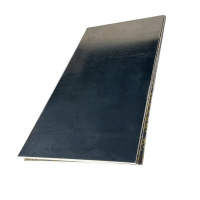 贝策 建筑模板 1220*2440*10mm 张