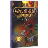 功夫米老鼠:高飞迷途