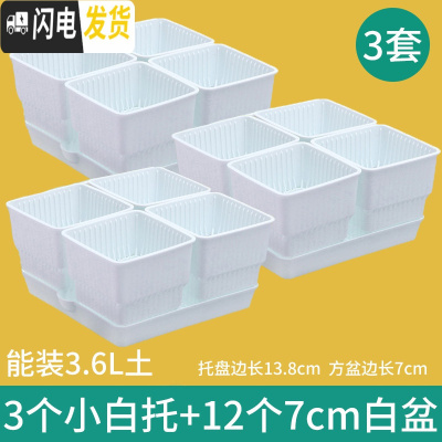 三维工匠控根多肉花盆套装组合塑料创意个性简约透气北欧风肉肉小盆器 [3套]小白托+4个白盆(7cm盆) 中小花盆容器