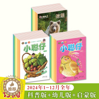 [醉染正版]小聪仔2024年科普版幼儿版启蒙版1-12月全年订阅儿童自然世界知识科普百科杂志科学探索拓宽视野大脑智力开发