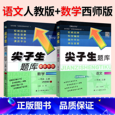 ❤❤[地区推荐2本]人教语文+西师数学 二年级下 [正版]2024春尖子生题库二三年级四五年级六一年级上下册数学语文人教