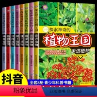 [全8册]探索神奇的植物王国 [正版]探索神奇的植物王国全套8册 少年儿童植物百科全书全图鉴书籍科普百科绘本全书大百科小