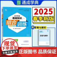 25春初中英语基础组合训练 9年级下·外研版 通成城学典