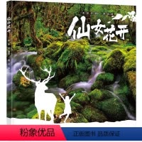 [正版]接力出版社仙女花开 图画书大咖彭懿写实主义画家索焱联合推出 帮助孩子发掘克服困难的勇气与智慧 协助孩子进行心