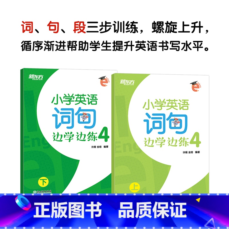 小学英语词句边学边练4 小学升初中 [正版]新东方一本解码小学英语语法 小学毕业初中入学五六年级剑桥英语等级考试 核心考