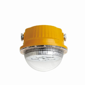 顶火 GMD8180 节能长寿防爆灯 (计价单位:盏) 橙色