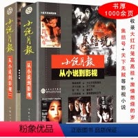 [正版] 小说月报-从小说到影视(共2册)收录妻妾成群大红灯笼高高挂激情燃烧的岁月集结号天下无贼潜伏等影视小说多部中篇