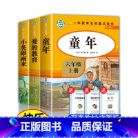 [六年级上]3册小英雄雨来+童年+爱的教育 [正版]全套4册 六年级下册的课外书鲁滨逊漂流记汤姆索亚历险记骑鹅旅行记鲁滨